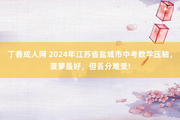 丁香成人网 2024年江苏省盐城市中考数学压轴，菠萝虽好，但丢分难受!