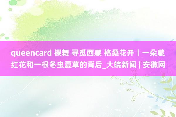 queencard 裸舞 寻觅西藏 格桑花开丨一朵藏红花和一根冬虫夏草的背后_大皖新闻 | 安徽网