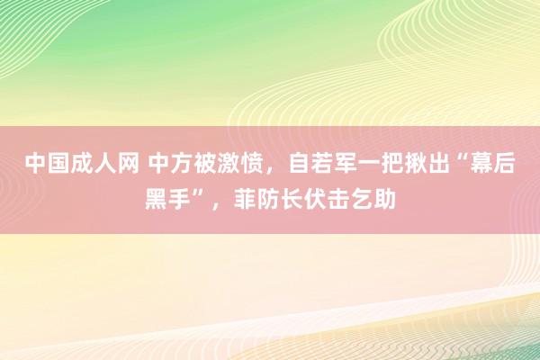 中国成人网 中方被激愤，自若军一把揪出“幕后黑手”，菲防长伏击乞助