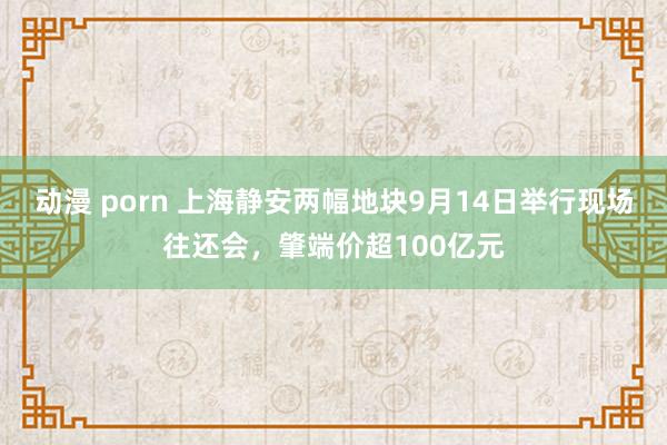 动漫 porn 上海静安两幅地块9月14日举行现场往还会，肇端价超100亿元