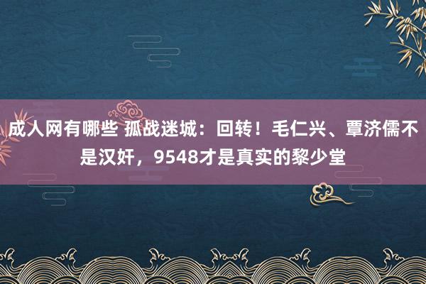 成人网有哪些 孤战迷城：回转！毛仁兴、覃济儒不是汉奸，9548才是真实的黎少堂