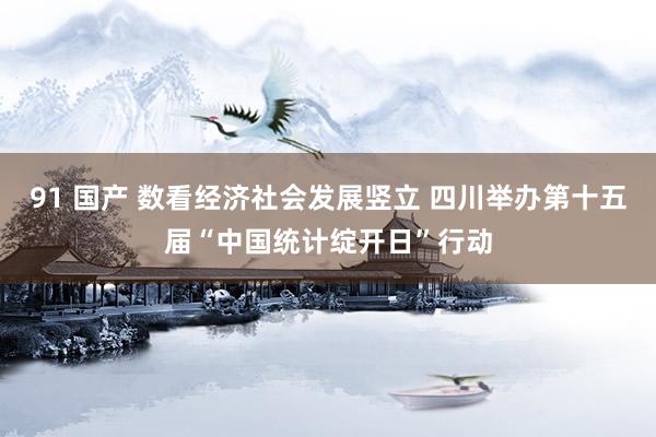 91 国产 数看经济社会发展竖立 四川举办第十五届“中国统计绽开日”行动