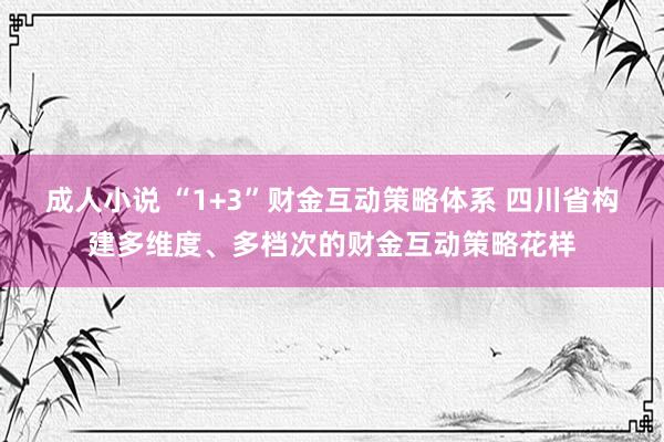 成人小说 “1+3”财金互动策略体系 四川省构建多维度、多档次的财金互动策略花样