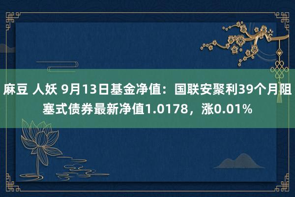 麻豆 人妖 9月13日基金净值：国联安聚利39个月阻塞式债券最新净值1.0178，涨0.01%