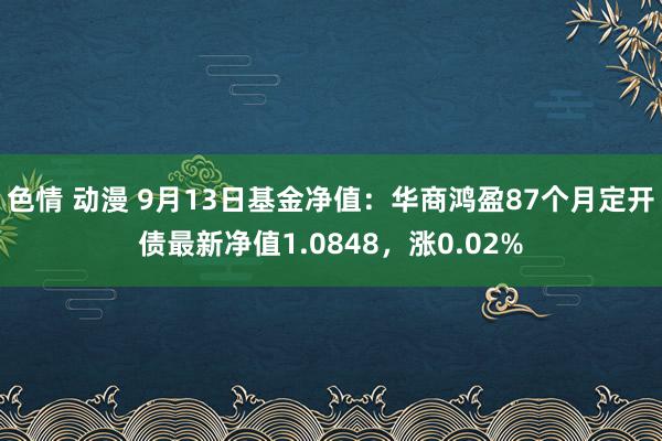 色情 动漫 9月13日基金净值：华商鸿盈87个月定开债最新净值1.0848，涨0.02%