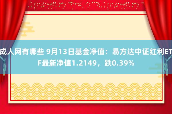 成人网有哪些 9月13日基金净值：易方达中证红利ETF最新净值1.2149，跌0.39%