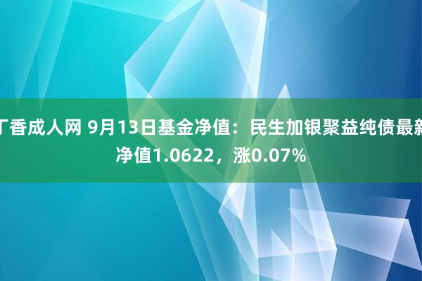 丁香成人网 9月13日基金净值：民生加银聚益纯债最新净值1.0622，涨0.07%