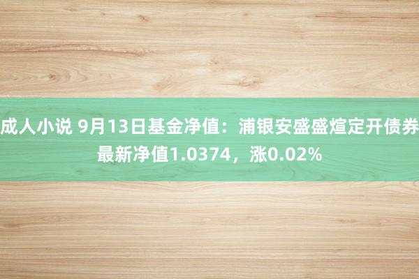 成人小说 9月13日基金净值：浦银安盛盛煊定开债券最新净值1.0374，涨0.02%