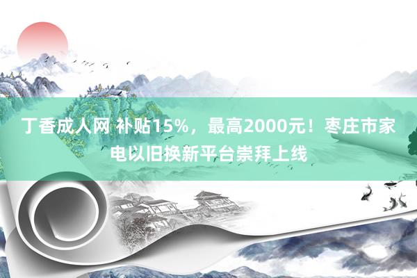 丁香成人网 补贴15%，最高2000元！枣庄市家电以旧换新平台崇拜上线