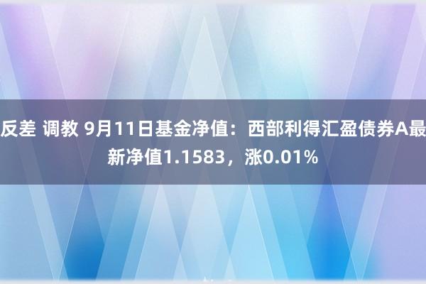 反差 调教 9月11日基金净值：西部利得汇盈债券A最新净值1.1583，涨0.01%