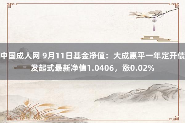 中国成人网 9月11日基金净值：大成惠平一年定开债发起式最新净值1.0406，涨0.02%