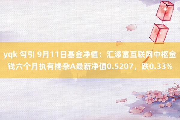 yqk 勾引 9月11日基金净值：汇添富互联网中枢金钱六个月执有搀杂A最新净值0.5207，跌0.33%