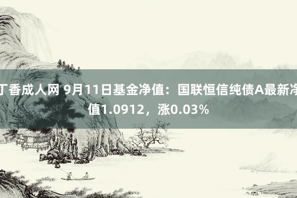 丁香成人网 9月11日基金净值：国联恒信纯债A最新净值1.0912，涨0.03%