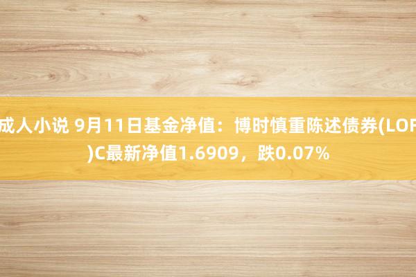 成人小说 9月11日基金净值：博时慎重陈述债券(LOF)C最新净值1.6909，跌0.07%