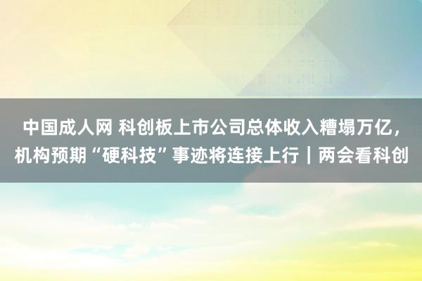 中国成人网 科创板上市公司总体收入糟塌万亿，机构预期“硬科技”事迹将连接上行｜两会看科创