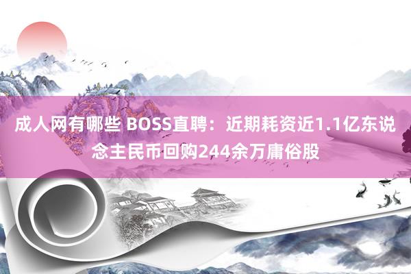 成人网有哪些 BOSS直聘：近期耗资近1.1亿东说念主民币回购244余万庸俗股