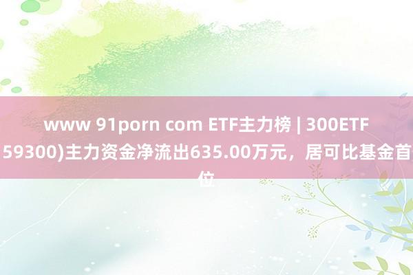 www 91porn com ETF主力榜 | 300ETF(159300)主力资金净流出635.00万元，居可比基金首位