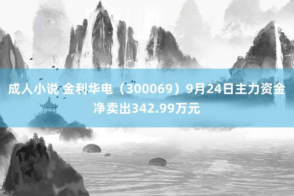 成人小说 金利华电（300069）9月24日主力资金净卖出342.99万元