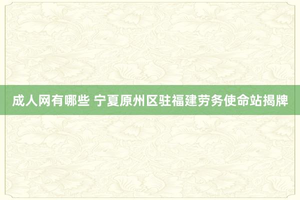 成人网有哪些 宁夏原州区驻福建劳务使命站揭牌