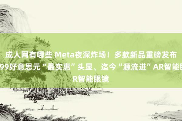 成人网有哪些 Meta夜深炸场！多款新品重磅发布：299好意思元“最实惠”头显、迄今“源流进”AR智能眼镜