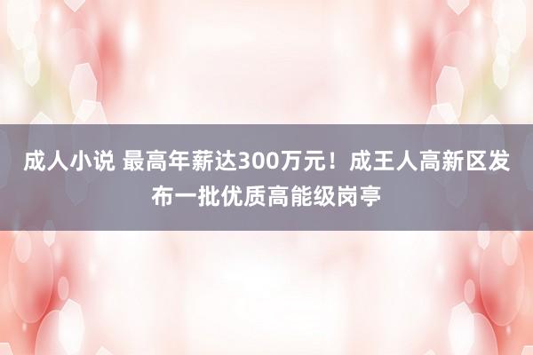 成人小说 最高年薪达300万元！成王人高新区发布一批优质高能级岗亭