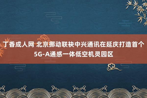 丁香成人网 北京挪动联袂中兴通讯在延庆打造首个5G-A通感一体低空机灵园区