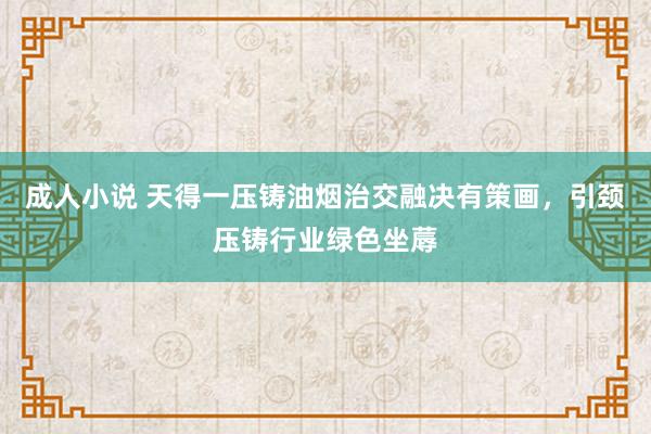 成人小说 天得一压铸油烟治交融决有策画，引颈压铸行业绿色坐蓐