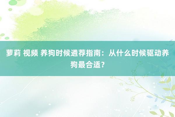 萝莉 视频 养狗时候遴荐指南：从什么时候驱动养狗最合适？