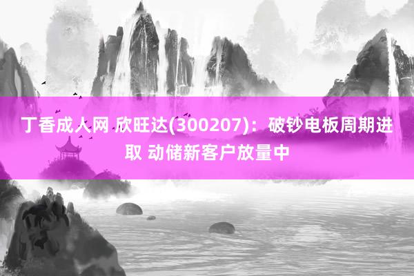 丁香成人网 欣旺达(300207)：破钞电板周期进取 动储新客户放量中