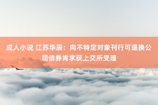 成人小说 江苏华辰：向不特定对象刊行可退换公司债券肯求获上交所受理