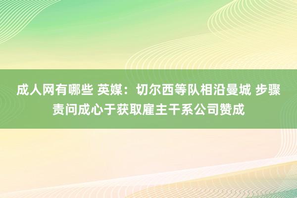 成人网有哪些 英媒：切尔西等队相沿曼城 步骤责问成心于获取雇主干系公司赞成