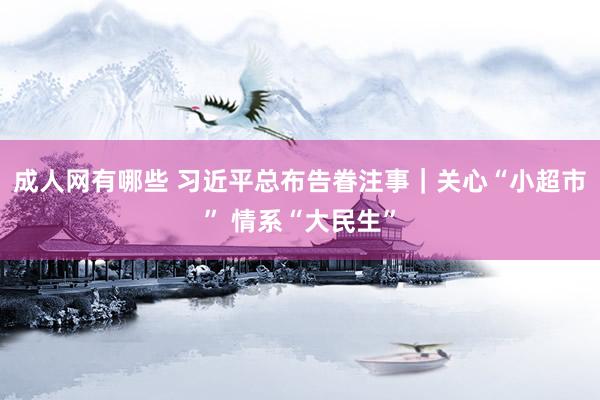 成人网有哪些 习近平总布告眷注事｜关心“小超市” 情系“大民生”