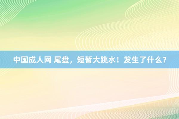 中国成人网 尾盘，短暂大跳水！发生了什么？