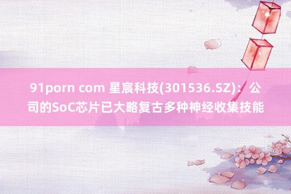 91porn com 星宸科技(301536.SZ)：公司的SoC芯片已大略复古多种神经收集技能