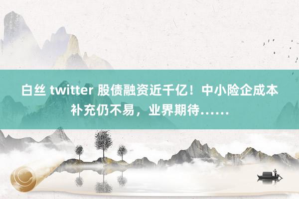 白丝 twitter 股债融资近千亿！中小险企成本补充仍不易，业界期待……