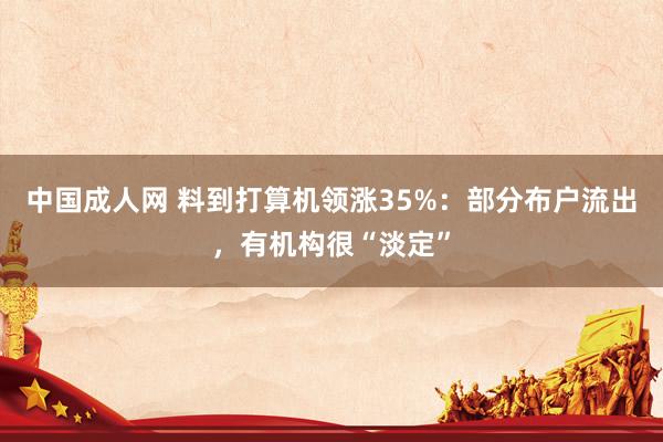 中国成人网 料到打算机领涨35%：部分布户流出，有机构很“淡定”