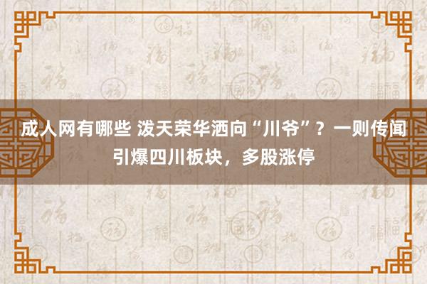 成人网有哪些 泼天荣华洒向“川爷”？一则传闻引爆四川板块，多股涨停