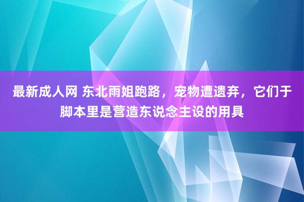 最新成人网 东北雨姐跑路，宠物遭遗弃，它们于脚本里是营造东说念主设的用具