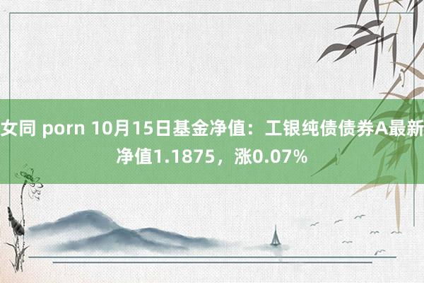 女同 porn 10月15日基金净值：工银纯债债券A最新净值1.1875，涨0.07%