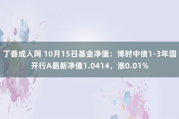 丁香成人网 10月15日基金净值：博时中债1-3年国开行A最新净值1.0414，涨0.01%