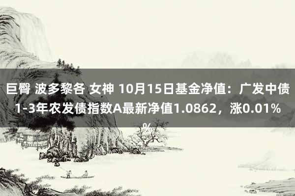 巨臀 波多黎各 女神 10月15日基金净值：广发中债1-3年农发债指数A最新净值1.0862，涨0.01%