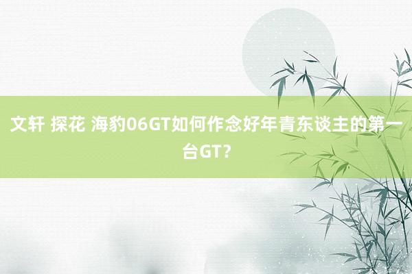 文轩 探花 海豹06GT如何作念好年青东谈主的第一台GT？