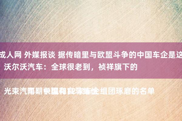 中国成人网 外媒报谈 据传暗里与欧盟斗争的中国车企是这两家
1️⃣沃尔沃汽车：全球很老到，祯祥旗下的

2️⃣光束汽车：长城和良马结伙

同期中国有12家车企组团琢磨的名单