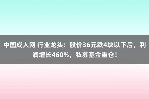 中国成人网 行业龙头：股价36元跌4块以下后，利润增长460%，私募基金重仓！