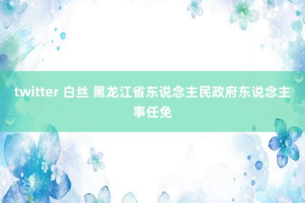 twitter 白丝 黑龙江省东说念主民政府东说念主事任免