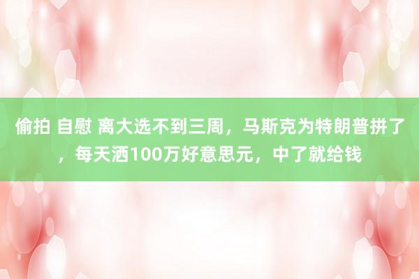 偷拍 自慰 离大选不到三周，马斯克为特朗普拼了，每天洒100万好意思元，中了就给钱