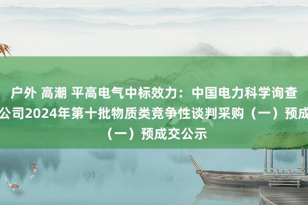 户外 高潮 平高电气中标效力：中国电力科学询查院有限公司2024年第十批物质类竞争性谈判采购（一）预成交公示