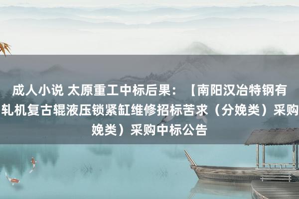 成人小说 太原重工中标后果：【南阳汉冶特钢有限公司】轧机复古辊液压锁紧缸维修招标苦求（分娩类）采购中标公告