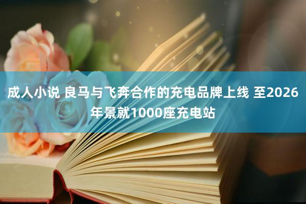 成人小说 良马与飞奔合作的充电品牌上线 至2026年景就1000座充电站