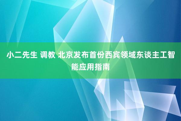 小二先生 调教 北京发布首份西宾领域东谈主工智能应用指南